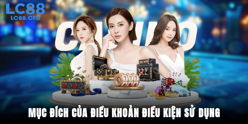 Mục đích của điều khoản điều kiện sử dụng