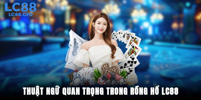 Thuật ngữ quan trọng trong rồng hổ LC88